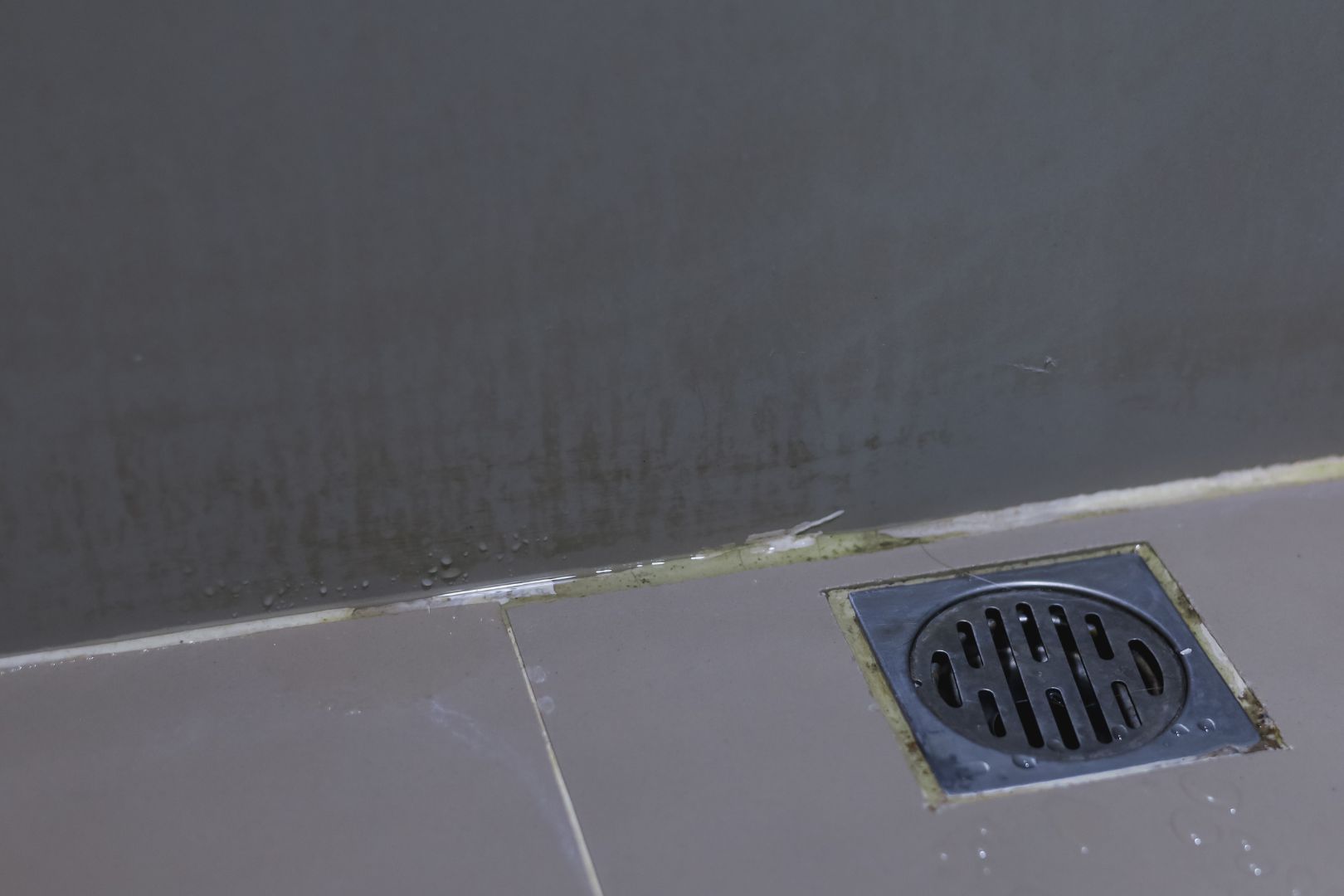 Como Limpar Ralo de Banheiro Sem Desmontar Todo o Sistema